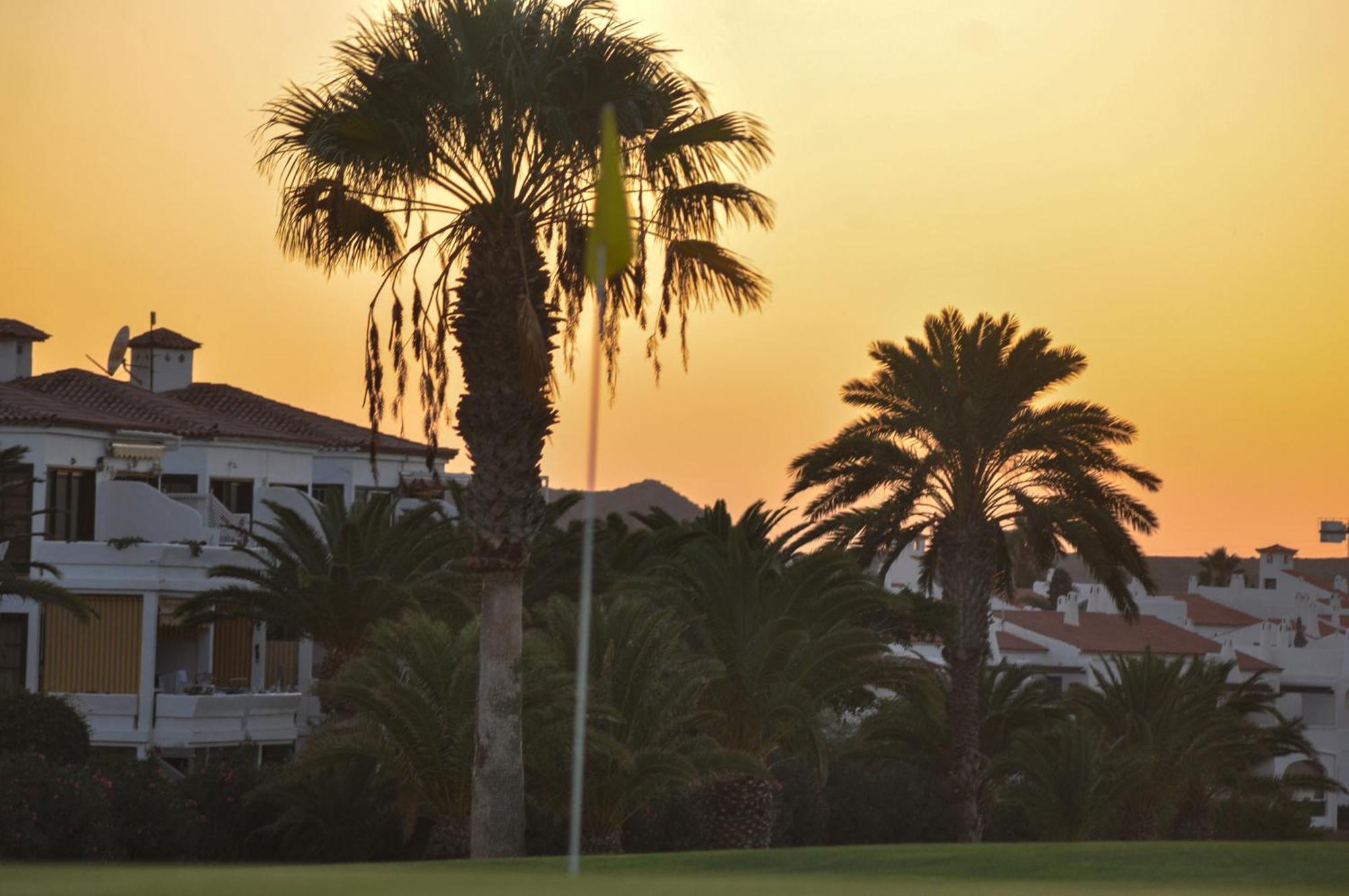 The Palms Golf Del Sur - Casa Andromeda Διαμέρισμα Σαν Μιγκέλ ντε Αμπόνα Εξωτερικό φωτογραφία