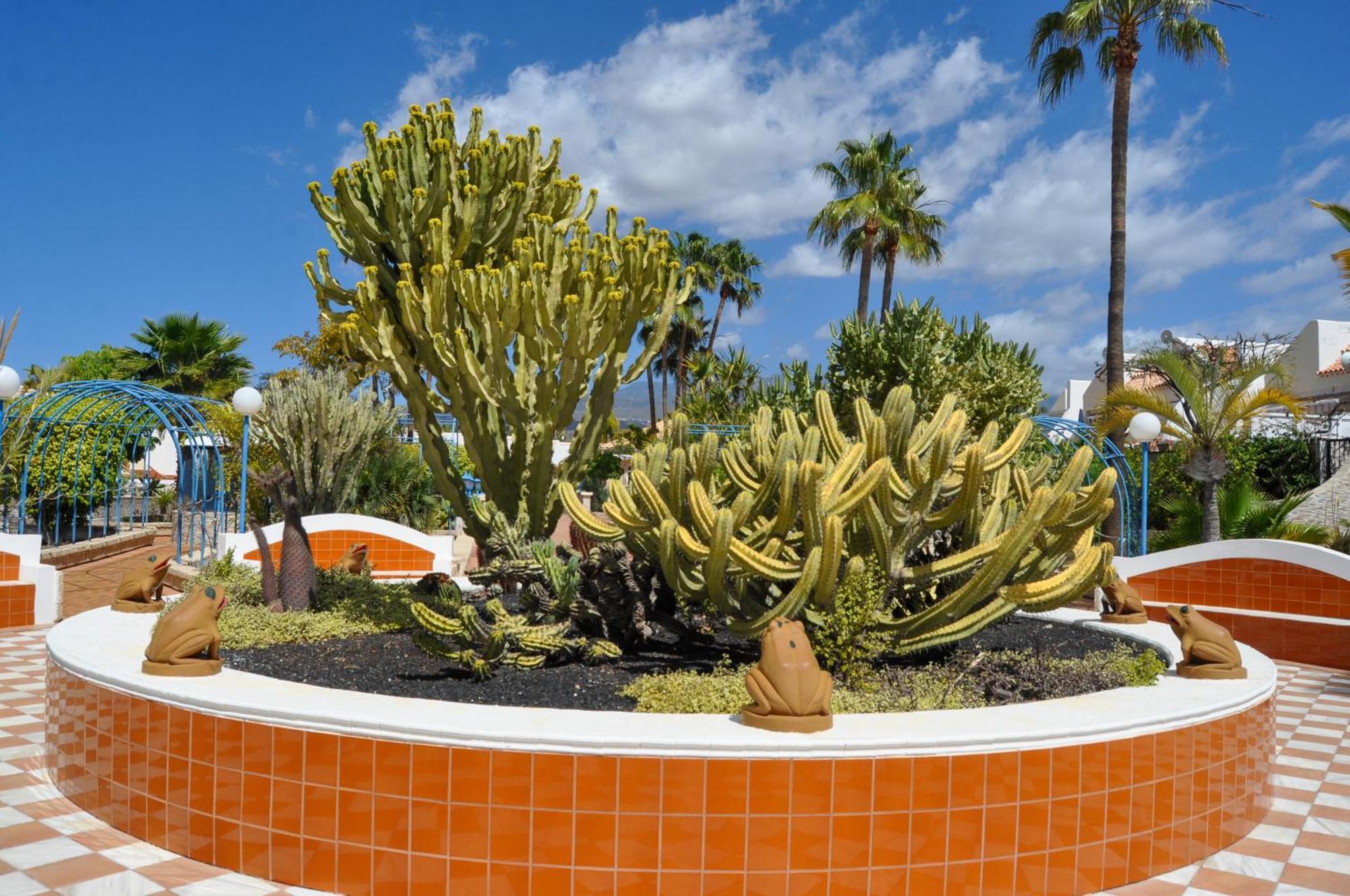 The Palms Golf Del Sur - Casa Andromeda Διαμέρισμα Σαν Μιγκέλ ντε Αμπόνα Εξωτερικό φωτογραφία